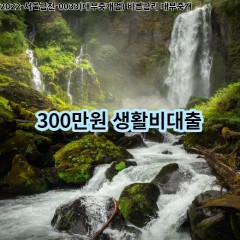 300만원 생활비대출 급전 당일 소액 일수 월변