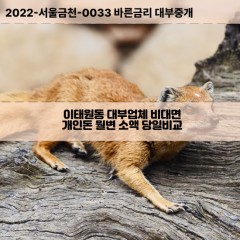 이태원동대부대출 이태원동비대면대출 용산구대부업체개인돈 이태원동월변대부업체 이태원동소액월변대출