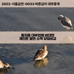 동자동대부대출 동자동비대면대출 용산구대부업체개인돈 동자동월변대부업체 동자동소액월변대출