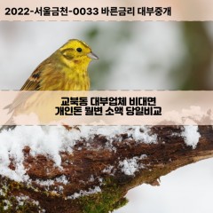 교북동대부대출 교북동비대면대출 종로구대부업체개인돈 교북동월변대부업체 교북동소액월변대출