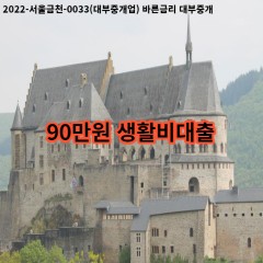 90만원 생활비대출 급전 당일 소액 일수 월변