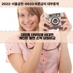 대항동대부대출 대항동비대면대출 강서구대부업체개인돈 대항동월변대부업체 대항동소액월변대출