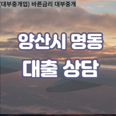 명동대부업체 명동비대면대출 양산시대부업체개인돈 명동월변대부대출 명동소액대부업체