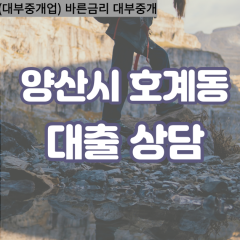 호계동대부업체 호계동비대면대출 양산시대부업체개인돈 호계동월변대부대출 호계동소액대부업체