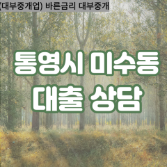 미수동대부업체 미수동대면대출 통영시대부업체개인돈 미수동월변대부대출 미수동소액대부업체