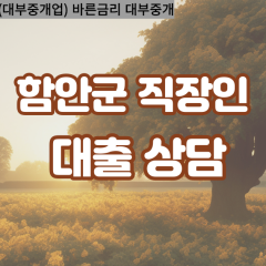 가야읍대부업체 군북면대면대출 함안군대부업체개인돈 대산면월변대부대출 법수면소액대부업체