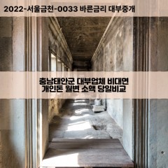 고남면대부대출 근흥면비대면대출 충남태안군대부업체개인돈 남면월변대부업체 소원면소액월변대출