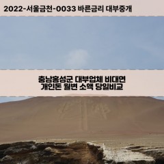 안면읍대부대출 원복면비대면대출 충남홍성군대부업체개인돈 이원면변대부업체 태안읍소액월변대출