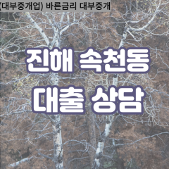 속천동대부업체 속천동대면대출 창원진해구대부업체개인돈 속천동월변대부대출 속천동소액대부업체