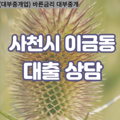 이금동대부업체 이금동비대면대출 사천시대부업체개인돈 이금동월변대부대출 이금동소액대부업체