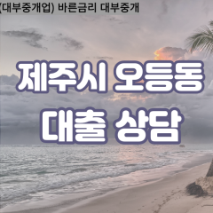 오등동대부업체 오등동비대면대출 제주시대부업체개인돈 오등동월변대부대출 오등동소액대부업체