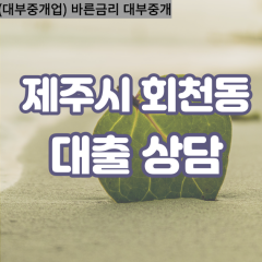 회천동대부업체 회천동비대면대출 제주시대부업체개인돈 회천동월변대부대출 회천동소액대부업체