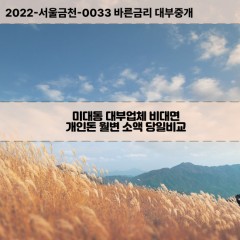 미대동대부대출 미대동비대면대출 대구동구대부업체개인돈 미대동월변대부업체 미대동소액월변대출