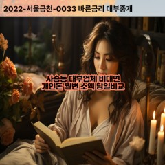 사송동대부대출 사송동비대면대출 성남시수정구대부업체개인돈 사송동월변대부업체 사송동소액월변대출