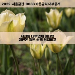 지산동대부대출 지산동비대면대출 광주동구대부업체개인돈 지산동월변대부업체 지산동소액월변대출