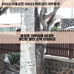 충장로대부대출 충장로1가비대면대출 광주동구대부업체개인돈 충장로2가월변대부업체 충장로3가소액월변대출