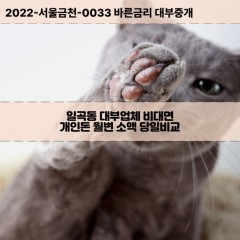 일곡동대부대출 일곡동비대면대출 광주북구대부업체개인돈 일곡동월변대부업체 일곡동소액월변대출