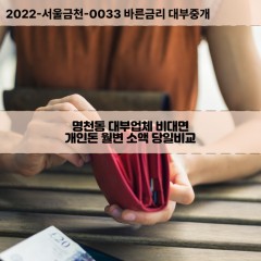 명천동대부대출 명천동비대면대출 충남보령시대부업체개인돈 명천동월변대부업체 명천동소액월변대출