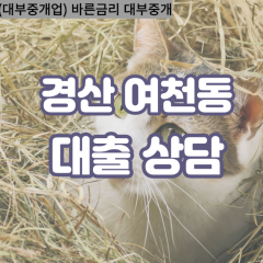 여천동대부대출 여천동비대면대출 경산시대부업체 여천동급전대출개인돈 여천동소액월변대출