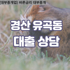 유곡동대부대출 유곡동비대면대출 경산시대부업체 유곡동급전대출개인돈 유곡동소액월변대출