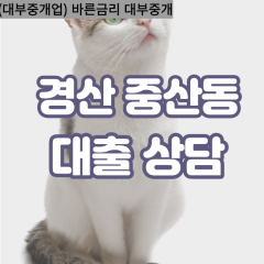 중산동대부대출 중산동비대면대출 경산시대부업체 중산동급전대출개인돈 중산동소액월변대출