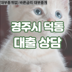 덕동대부대출 덕동비대면대출 경주시대부업체 덕동급전대출개인돈 덕동소액월변대출