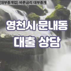 문내동대부대출 문내동비대면대출 영천시대부업체 문내동급전대출개인돈 문내동소액월변대출