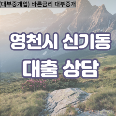 신기동대부대출 신기동비대면대출 영천시대부업체 신기동급전대출개인돈 신기동소액월변대출