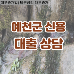 지보면대부대출 풍양면비대면대출 예천군대부업체 호명면급전대출개인돈 효자면소액월변대출