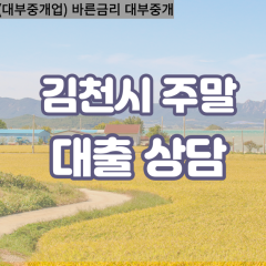 봉산면대부대출 부항면비대면대출 김천대부업체 아포읍급전대출개인돈 어모면소액월변대출