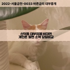 신덕동대부대출 신덕동비대면대출 전북김제시대부업체 신덕동급전대출개인돈 신덕동소액월변대출