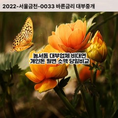 농서동대부대출 농서동비대면대출 용인시기흥구대부업체 농서동급전대출개인돈 농서동소액월변대출