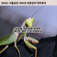 상갈동대부대출 상갈동비대면대출 용인시기흥구대부업체 상갈동급전대출개인돈 상갈동소액월변대출