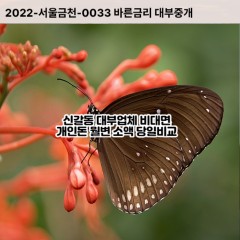 신갈동대부대출 신갈동비대면대출 용인시기흥구대부업체 신갈동급전대출개인돈 신갈동소액월변대출