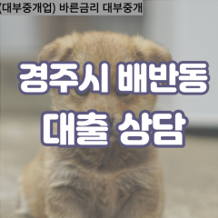 배반동대부대출 배반동비대면대출 경주시대부업체 배반동급전대출개인돈 배반동소액월변대출