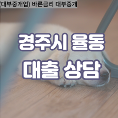 율동대부대출 율동비대면대출 경주대부업체 율동급전대출개인돈 율동소액월변대출