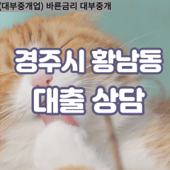 황남동대부대출 황남동비대면대출 경주대부업체 황남동급전대출개인돈 황남동소액월변대출