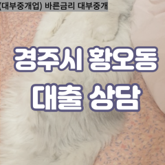 황오동대부대출 황오동비대면대출 경주대부업체 황오동급전대출개인돈 황오동소액월변대출