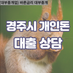 감포읍대부대출 강동면비대면대출 경주대부업체 건천읍급전대출개인돈 내남면소액월변대출