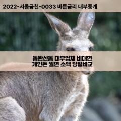 동완산동대부대출 동완산동비대면대출 전주시완산구대부업체 동완산동급전대출개인돈 동완산동소액월변대출