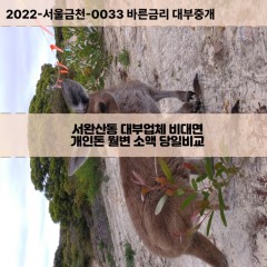 서완산동대부대출 서완산동1가비대면대출 전주시완산구대부업체 서완산동2가급전대출개인돈 서완산동소액월변대출