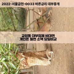 교암동대부대출 교암동비대면대출 전북정읍시대부업체 교암동급전대출개인돈 교암동소액월변대출