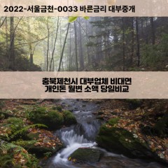 금성면대부대출 덕산면비대면대출 충북제천시대부업체 백운면급전대출개인돈 봉양읍소액월변대출