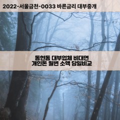 동현동대부대출 동현동비대면대출 충북제천시대부업체 동현동급전대출개인돈 동현동소액월변대출