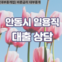 와룡면대부대출 일직면비대면대출 안동시대부업체 안동급전대출개인돈 임동면소액월변대출