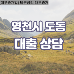 도동대부대출 도동비대면대출 영천시대부업체 도동급전대출개인돈 도동소액월변대출