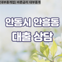 안흥동대부대출 안흥동비대면대출 안동시대부업체 안흥동급전대출개인돈 안흥동소액월변대출