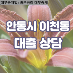 이천동대부대출 이천동비대면대출 안동시대부업체 이천동급전대출개인돈 이천동소액월변대출