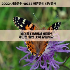 복대동대부대출 복대동비대면대출 청주시흥덕구대부업체 복대동급전대출개인돈 복대동소액월변대출