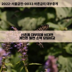 신촌동대부대출 신촌동비대면대출 청주시흥덕구대부업체 신촌동급전대출개인돈 신촌동소액월변대출